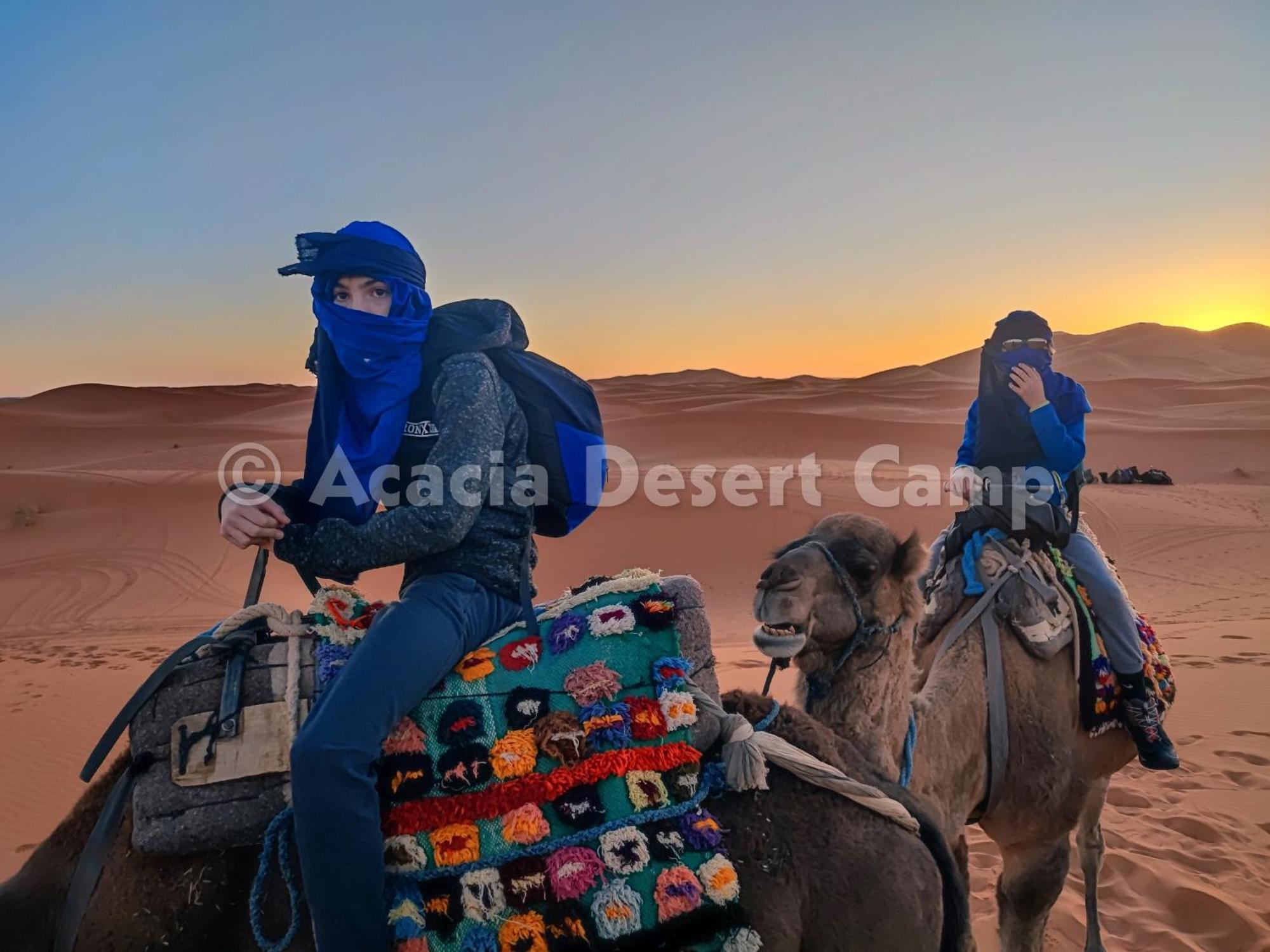 فندق Acacia Desert Camp مرزوكة المظهر الخارجي الصورة