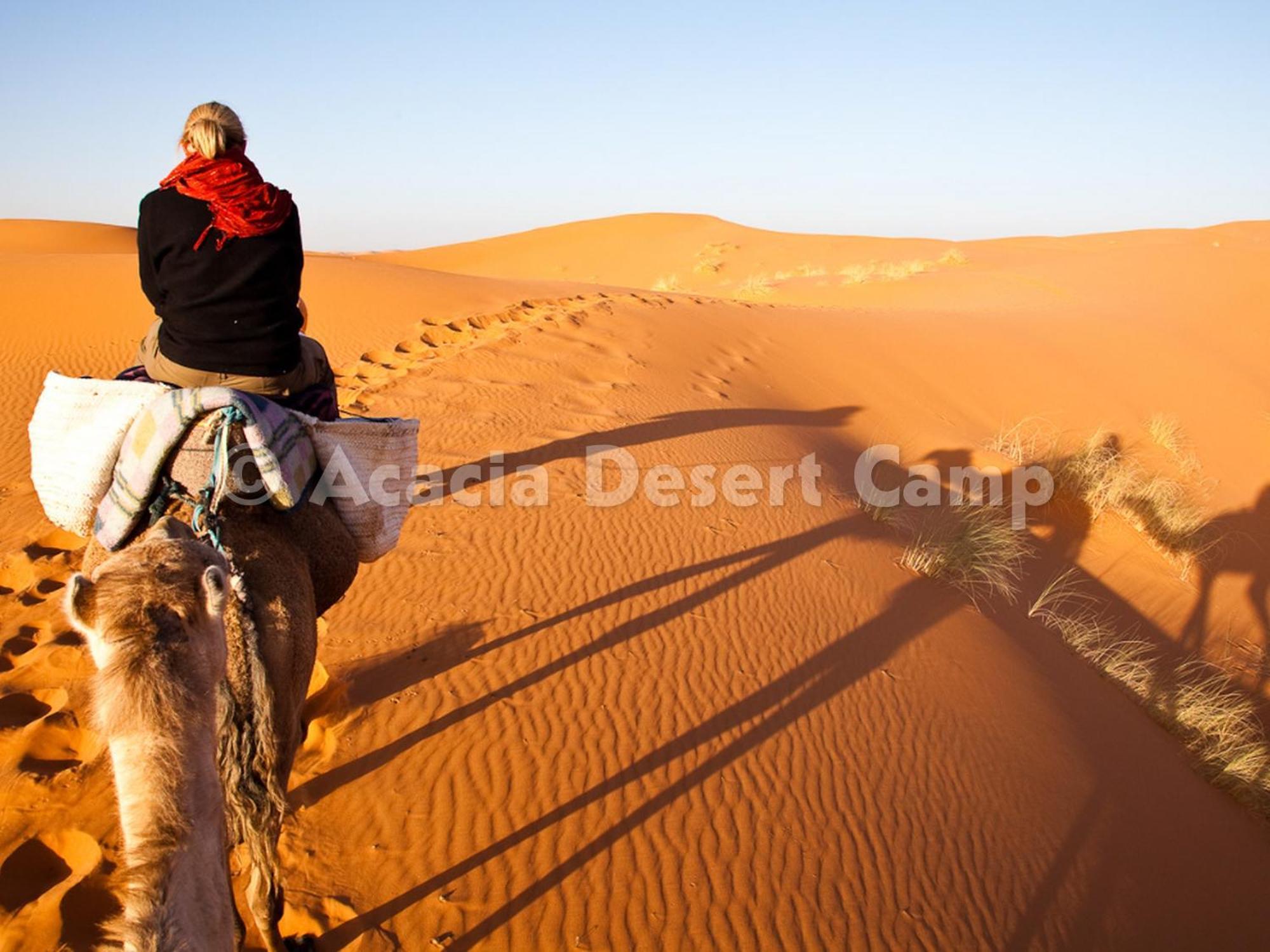 فندق Acacia Desert Camp مرزوكة المظهر الخارجي الصورة