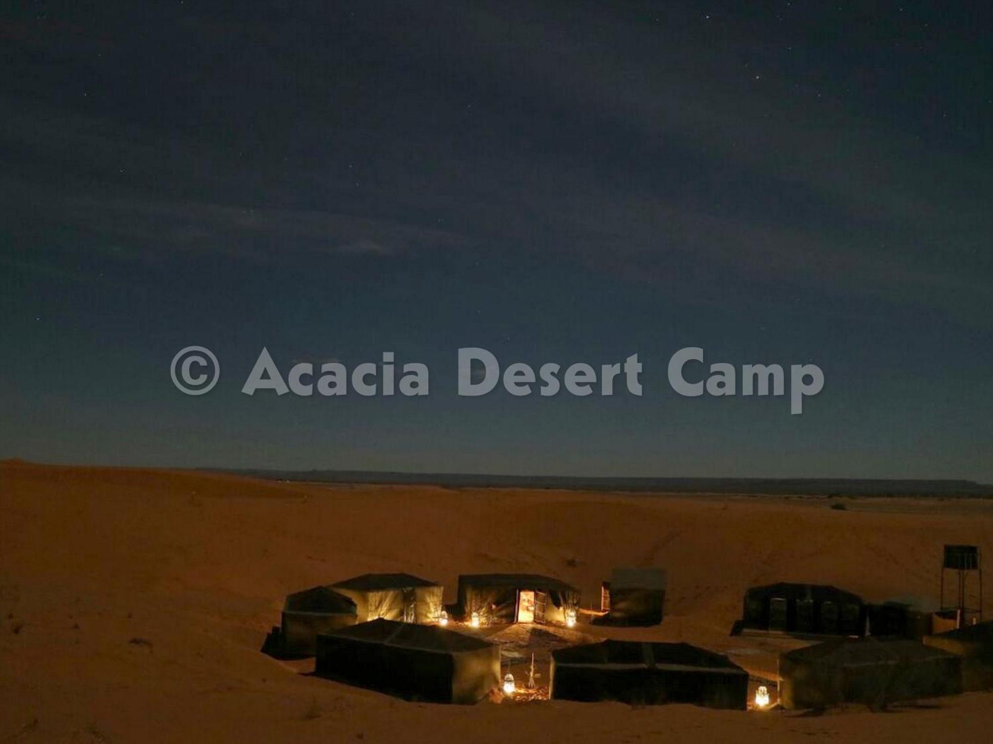 فندق Acacia Desert Camp مرزوكة المظهر الخارجي الصورة